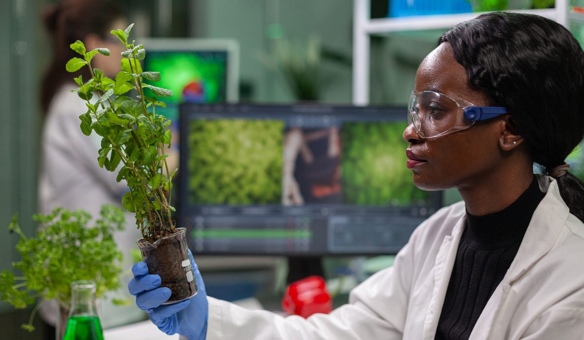 scientist-looking-green-sapling-medical-experiment